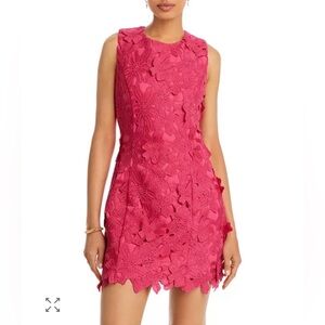 Endless Rose Floral Lace Embroidered Mini Dress in Fuchsia NWT Size Medium